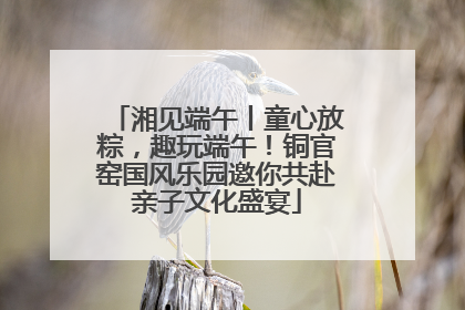 湘见端午丨童心放粽，趣玩端午！铜官窑国风乐园邀你共赴亲子文化盛宴